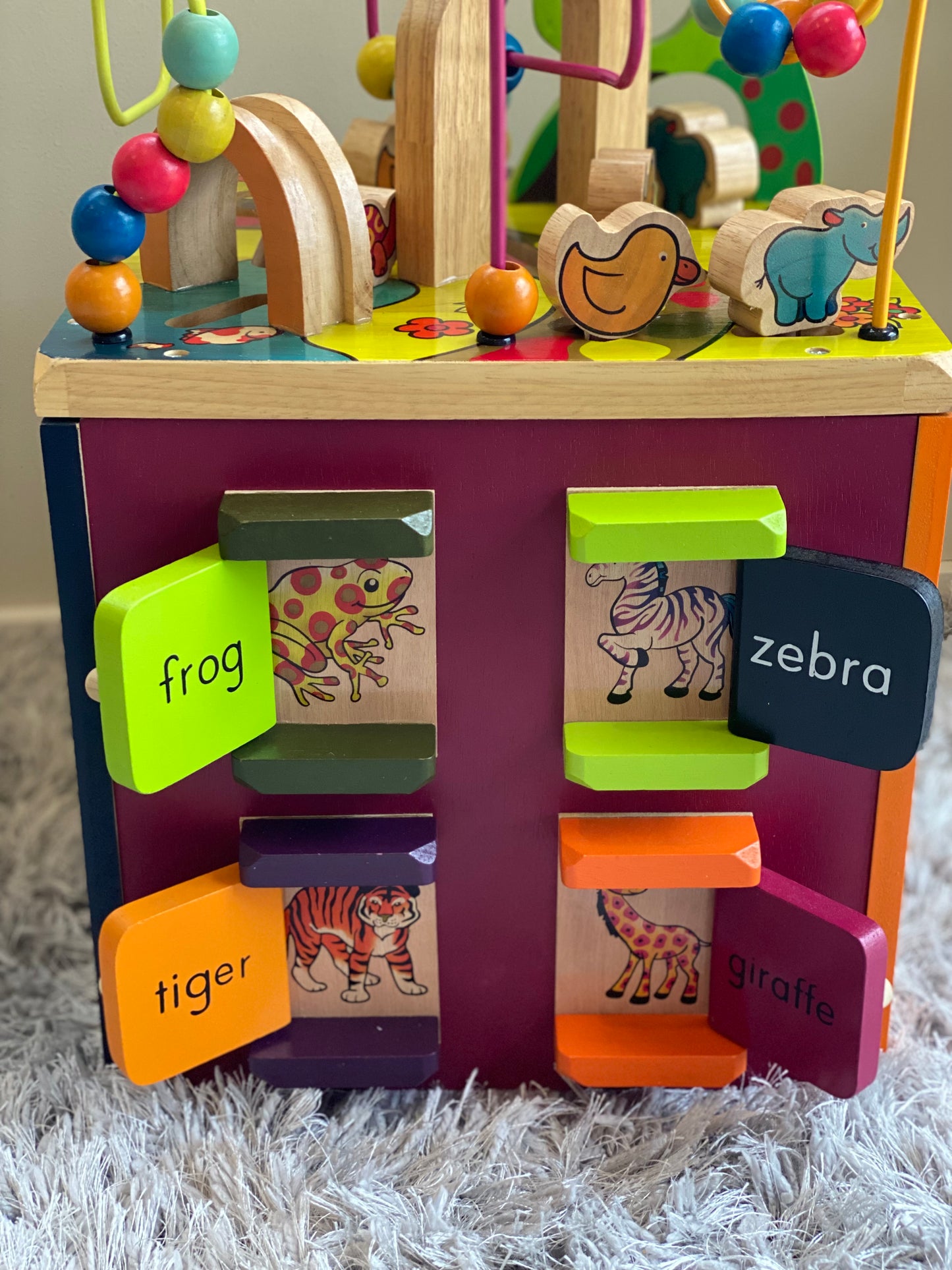 Zoo Activity Cube