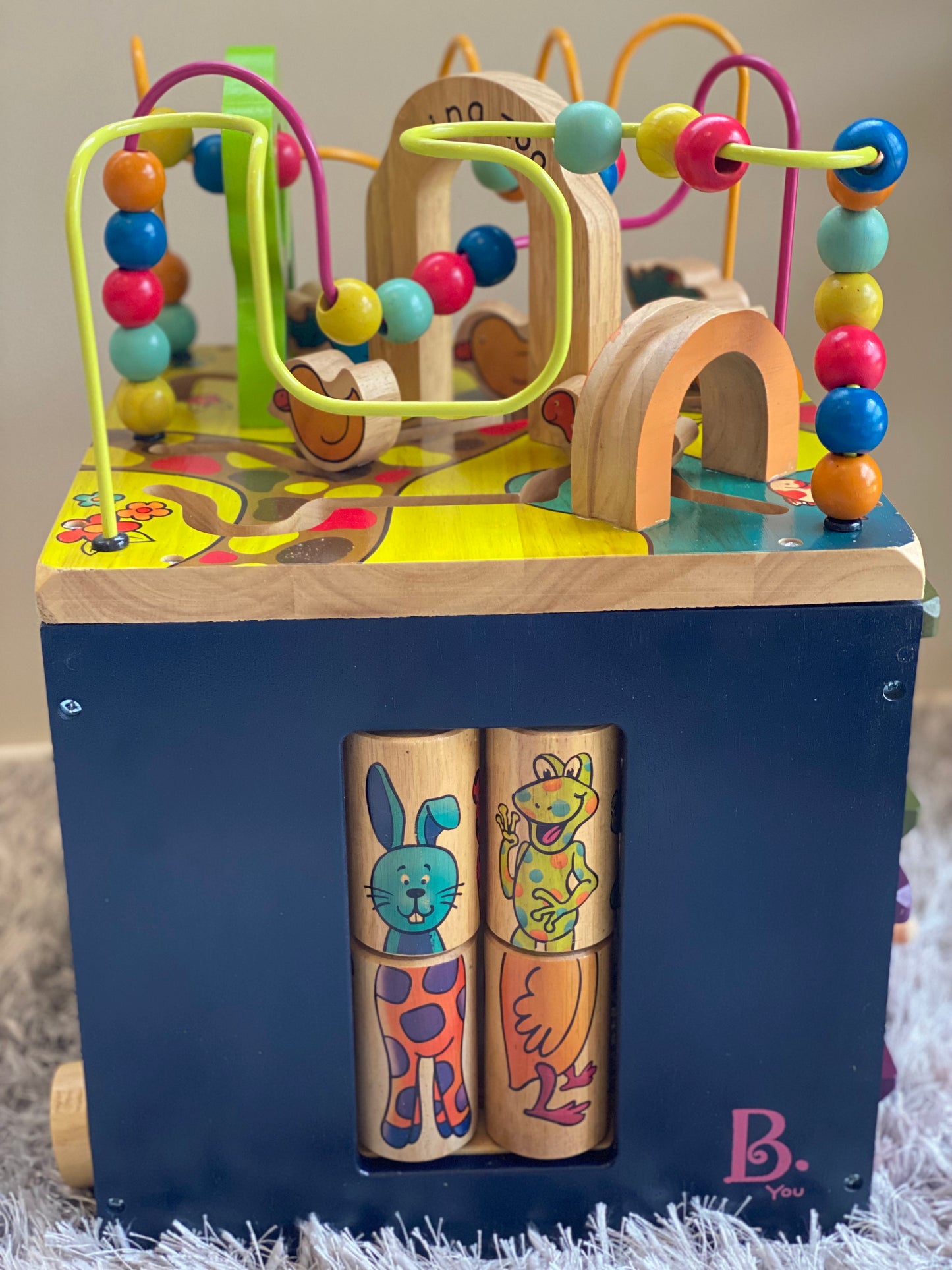 Zoo Activity Cube