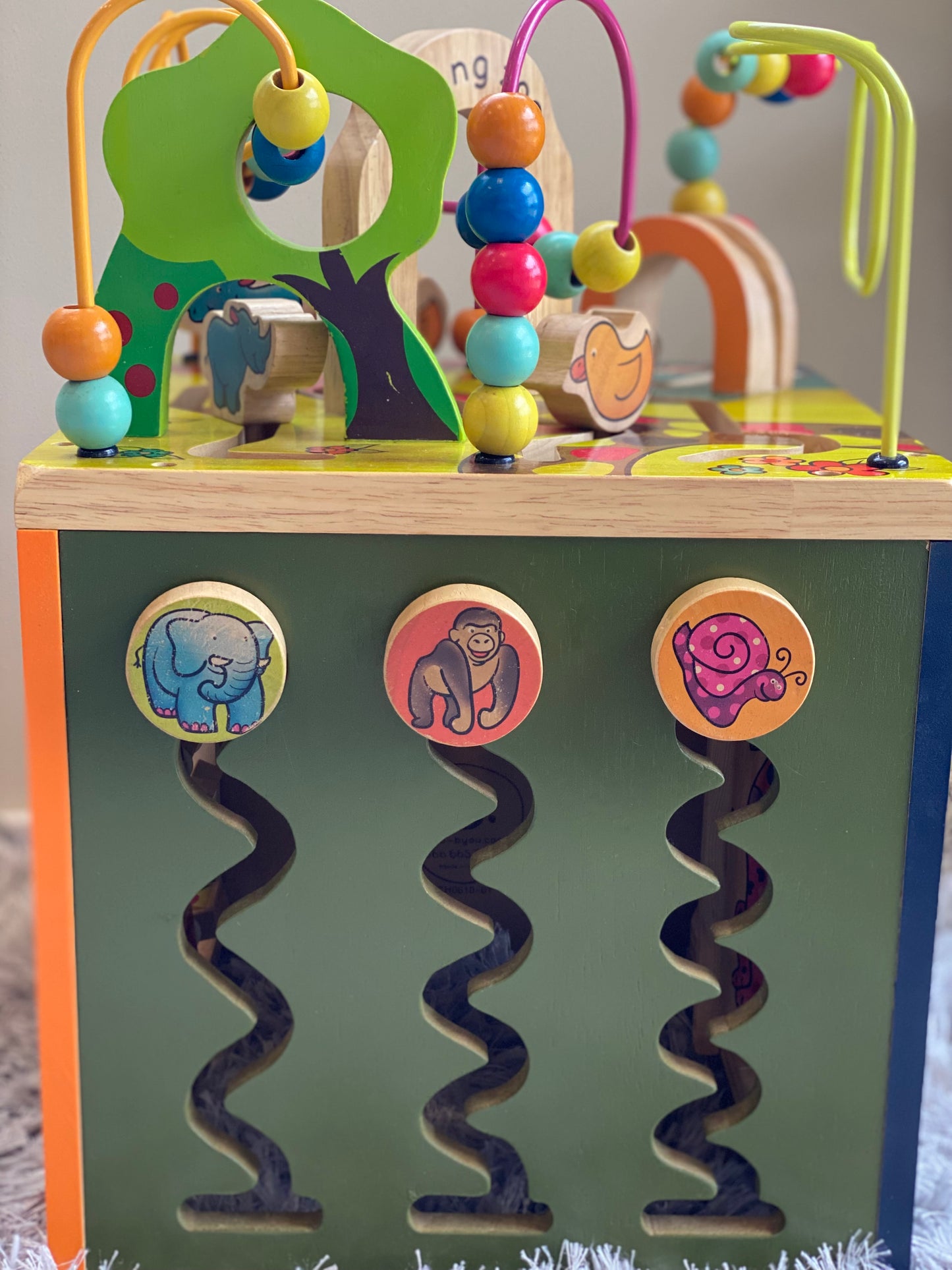 Zoo Activity Cube