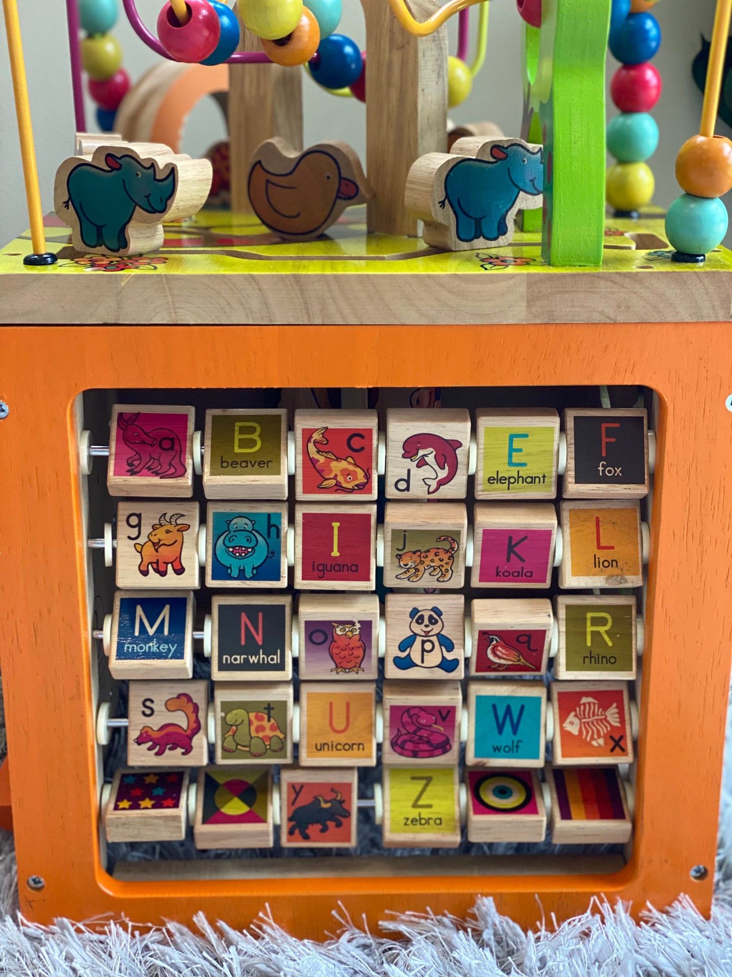 Zoo Activity Cube