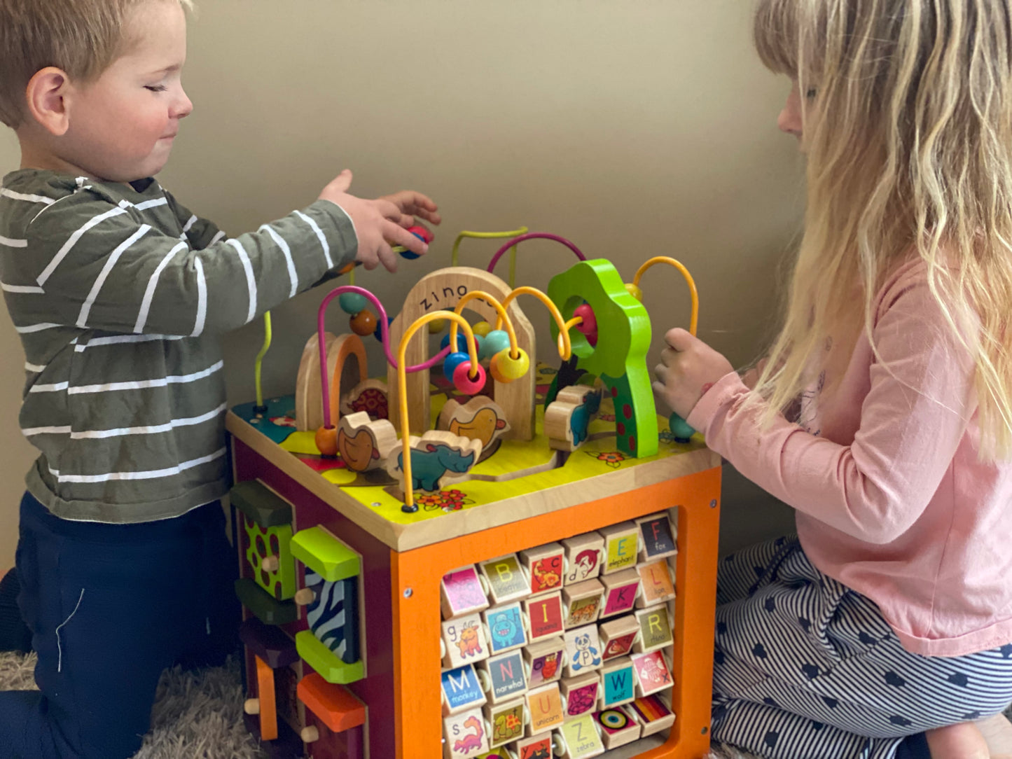 Zoo Activity Cube