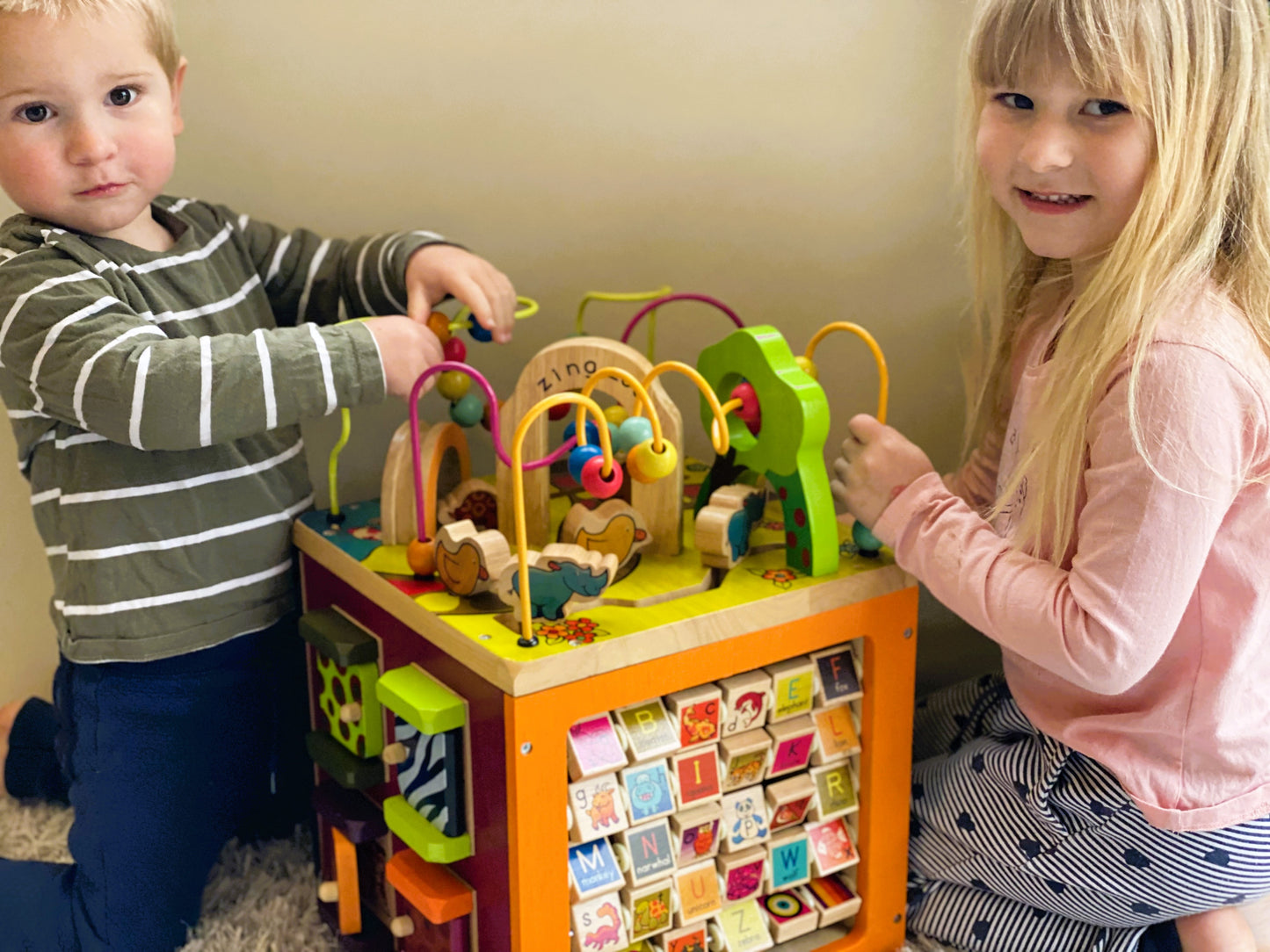 Zoo Activity Cube