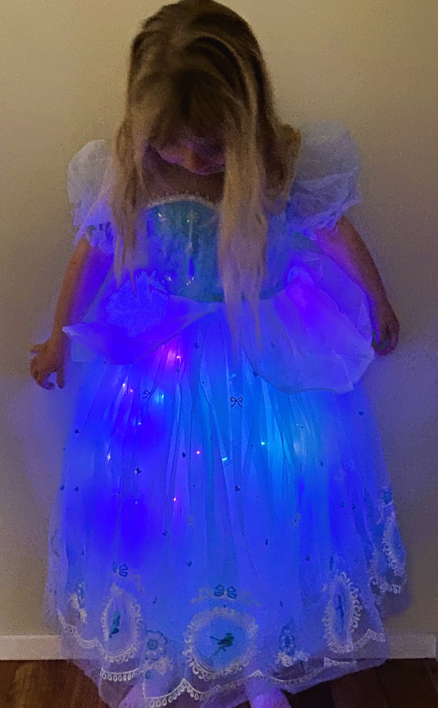 Cinderella Light up dress