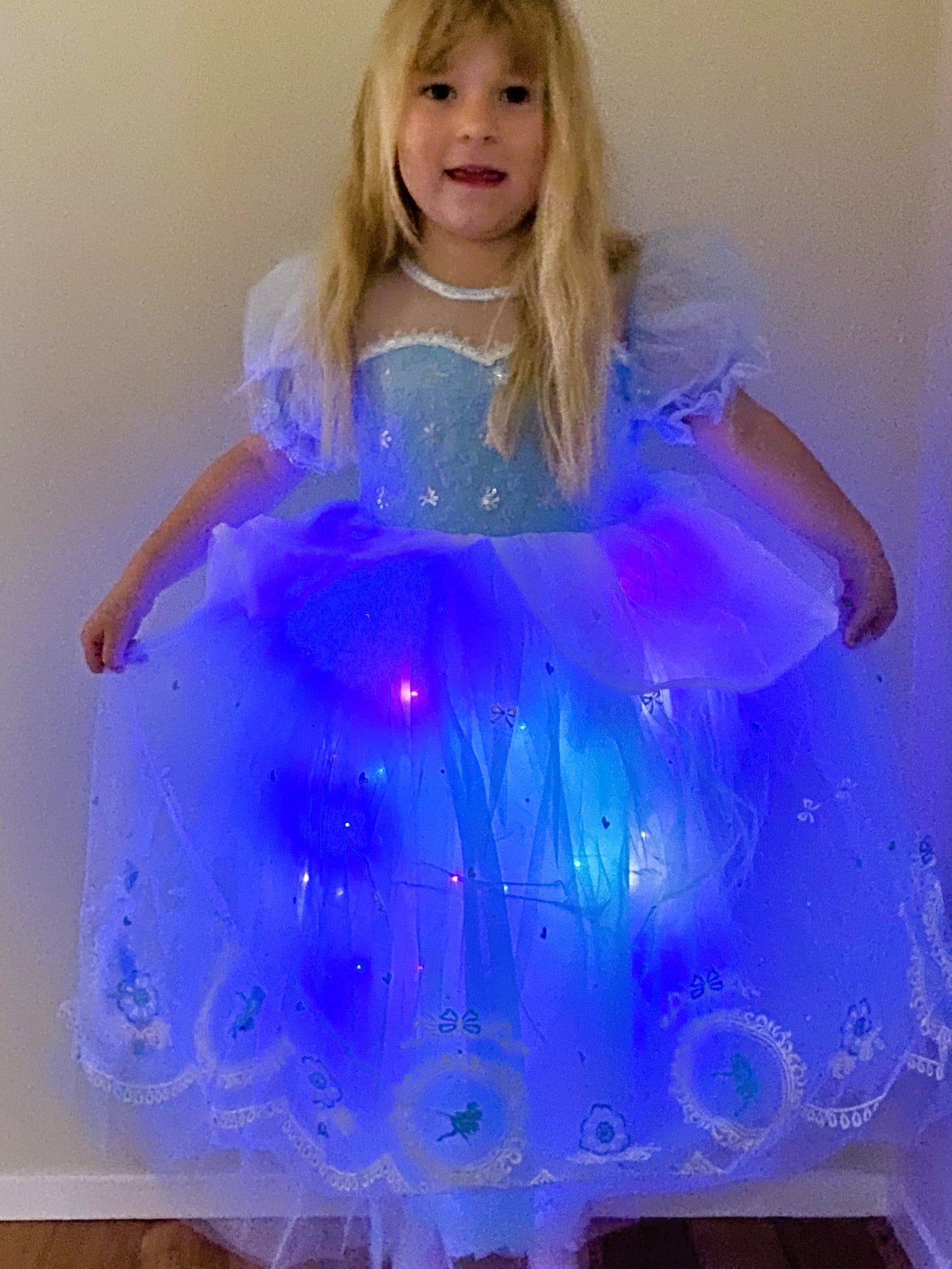 Cinderella Light up dress