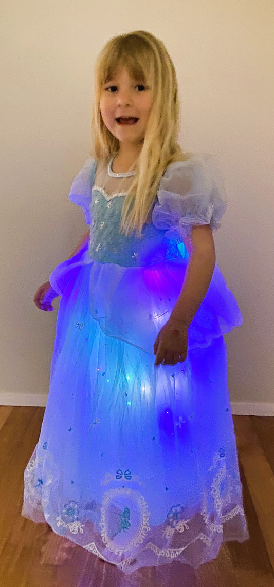 Cinderella Light up dress