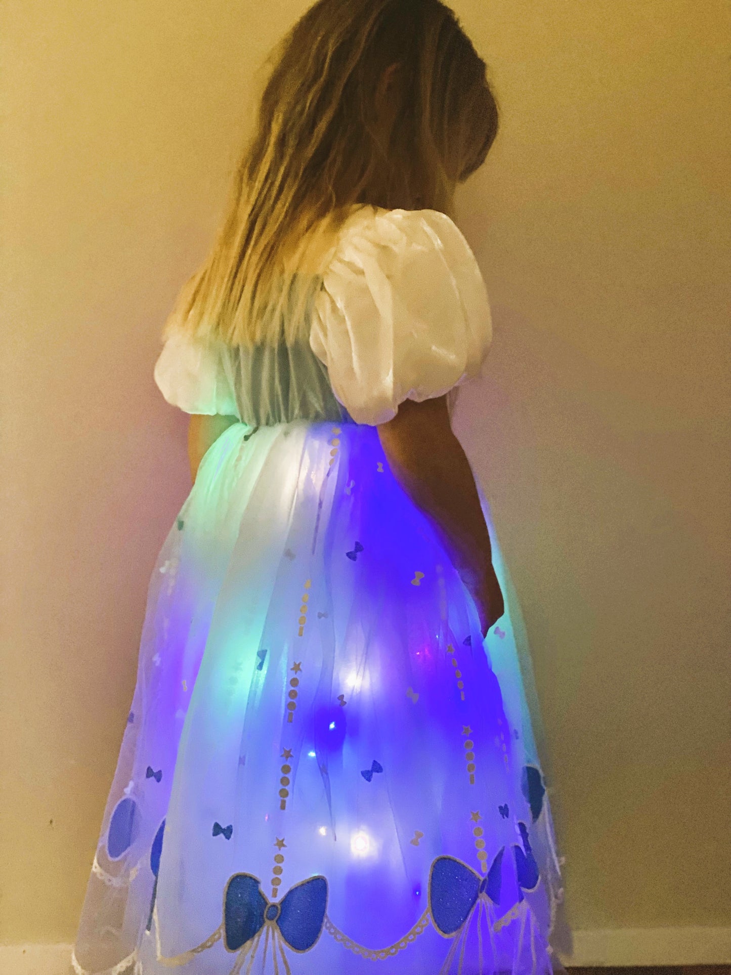 Cinderella Light up Dress with White sleeves